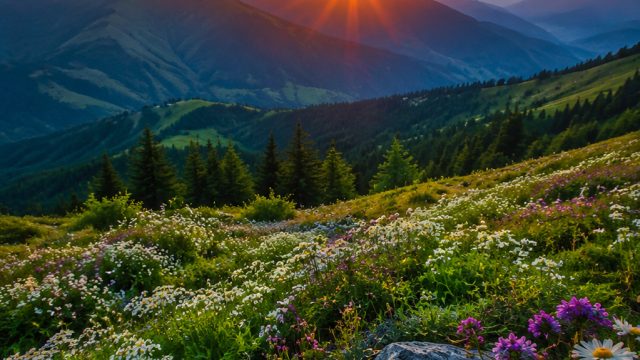 Captivating Nature: Embrace Serenity with Stunning Wallpapers | rtg 777 slot, maryland live free online casino