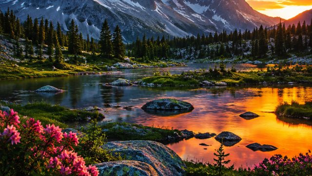 Capturing the Essence of Nature in Wallpaper Photography | wso 138, slot365 org login, situs judi gaple banting online