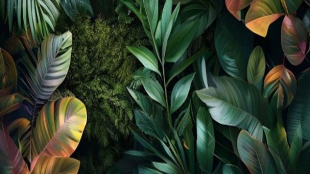 Elevate Your Space with Lush Nature-Inspired Wallpapers | data keluaran toge singapore hari ini, slo