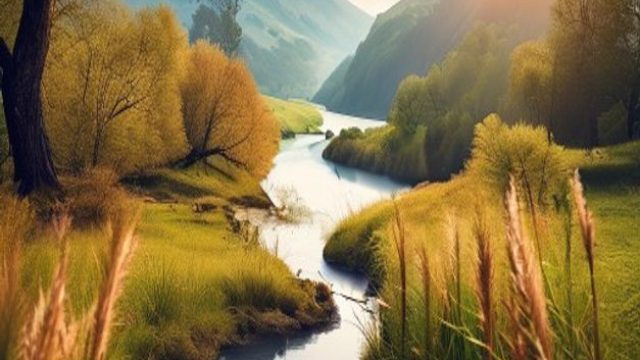 Capturing the Essence of Nature: Photography for Your Walls