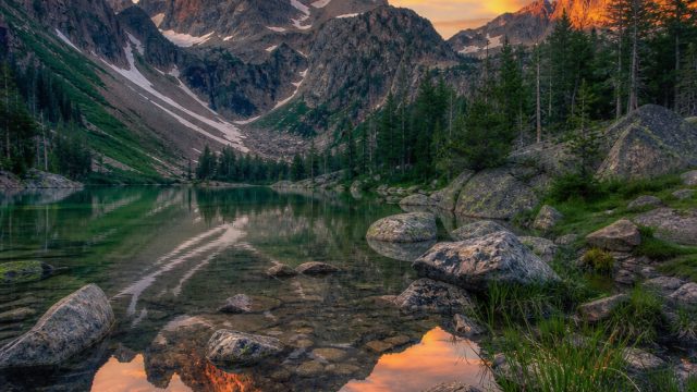 Transform Your Screen with Stunning Nature-Inspired Wallpapers