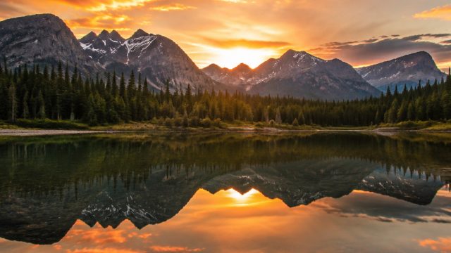 Embrace Serenity: Captivating Nature Wallpapers for Every Screen
