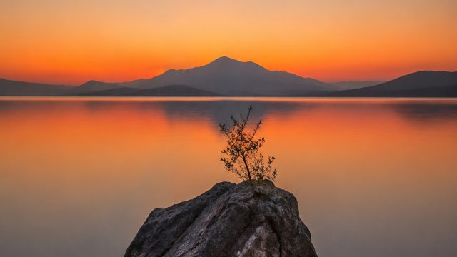 The Art of Minimalism in Photography: Capturing the Essence | qq poker pulsa, trik main game slot, c