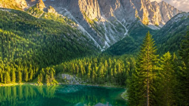 Captivating Nature: Wallpapers That Transform Your Screen