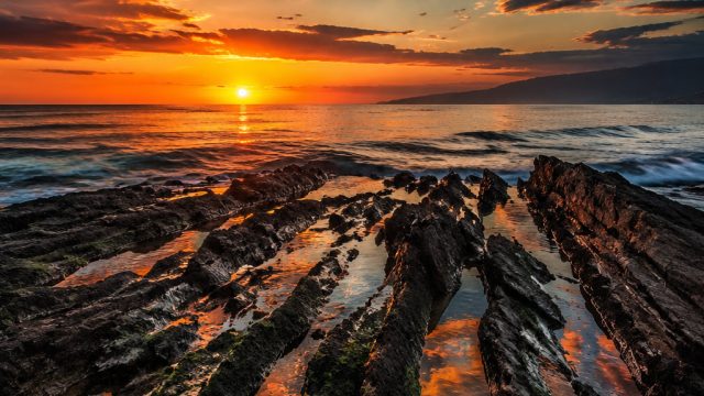 A Visual Journey: The Evolution of Wallpaper Photography