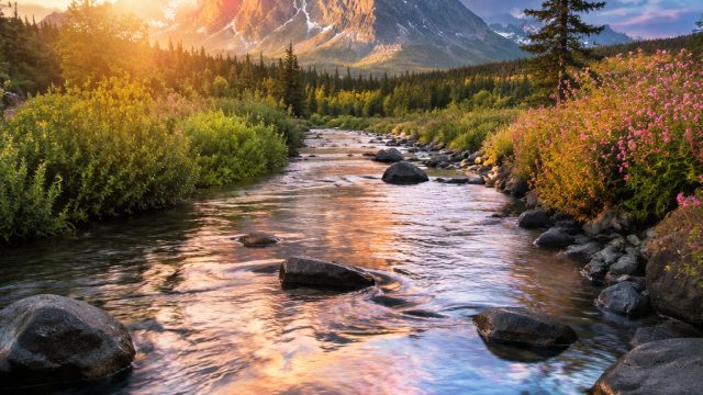 Top Trends in Photography and Wallpaper Design for 2024 | link slot, cherry poker machines, al nassr messi