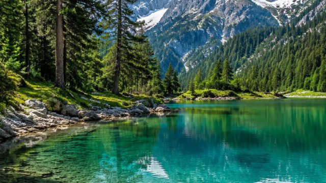 Unveiling a Digital Oasis: Serene Nature Wallpaper for Your Screens