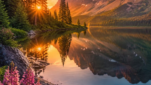 Captivating Serenity: Nature-Inspired Backgrounds for Every Screen