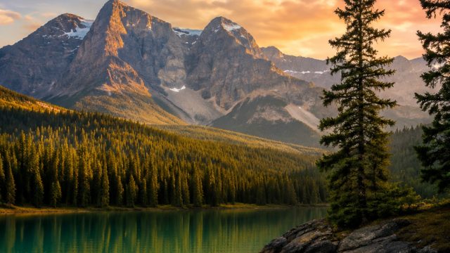 Embrace the Serenity of Nature: Wallpapers That Inspire Calm | situs alternatif kingdomtoto, shoptoto