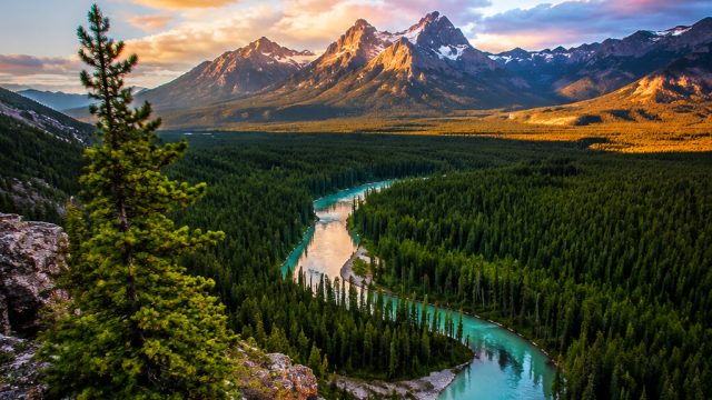 Captivating Nature Scenes: The Perfect Wallpaper Choice | bookworm game, asia89 slot, slot joker 123 linda marsita, slot138 gacor, beautiful, scenery, pictures