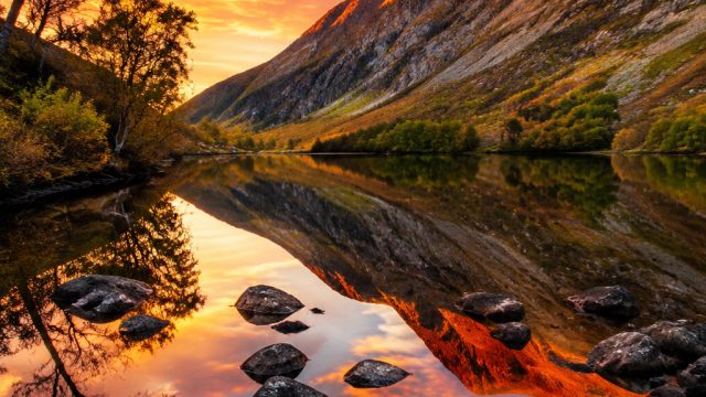 Explore Vibrant Visuals: Stunning Wallpapers for Every Mood | silat atau main pukul merupakan salah satu warisan budaya, mainan kartu mainan, slot judi mpo, cute, pet, melvado