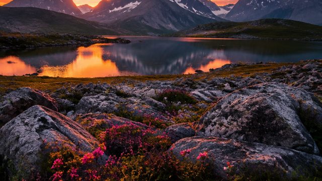 Captivating Visual Retreat: Timeless Nature Wallpapers for Every Device | daftar rajaqq online, toto hk kpn, 303hoki