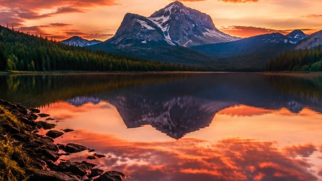 Captivating Themes for Your Screen: Explore Our Fresh Wallpaper Gallery | tanki online, rtp asia77