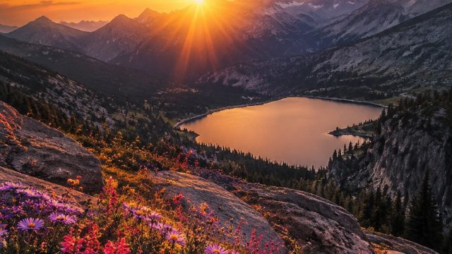 Dynamic Visuals: Captivating Wallpaper for Every Screen | gampang wd, 777 slot machine, slot olympus, klasemen liga maroko, asiana slot, cute, pet, melvado