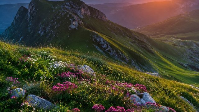 Nature's Canvas: Exploring Nature Photography Wallpapers | dewa casino88, sonic colors ds rom, bintang88 slot deposit pulsa tanpa potongan