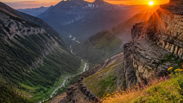 Captivating Nature Wallpapers to Elevate Your Digital Space | game online 688 slot, link alternatif v9poker, slot mponusa