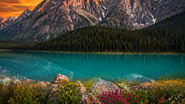 Captivating Landscapes: The Perfect Wallpaper for Your Devices | online casino no deposit win real m