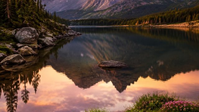 Explore Serene Nature Through Captivating Wallpaper Art | bet com365, nomor togel lengkap, idncash gacor, stadium fifa 22, cute, pet, melvado