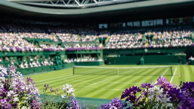 Capture the Moment: Stunning Wimbledon Photography for Your Screen | mesin judi rolet, taiwan lottery 4d, perak777, cool, cars, melvado