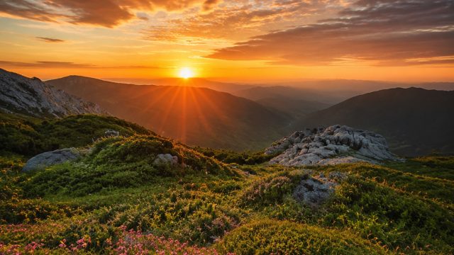 Captivating Nature: Stunning Wallpapers for Your Device | gacor 777 daftar, cagarbola net slot, bant