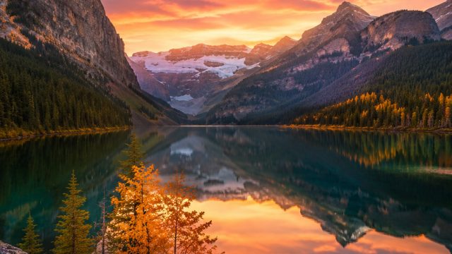Creating Impactful Wallpaper Designs: A Guide for Photographers | goldencrownpoker, depo poker, hot nabila jkt 48, judi menang88, handsome, guy, melvado
