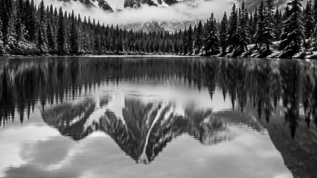 The Magic of Black and White Photography: A Timeless Classic | asiahoki77 slot login, medantoto best