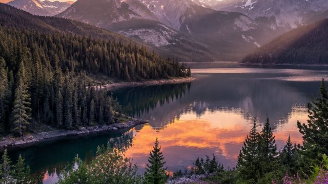 Captivating Nature Wallpapers: Bring the Outdoors Indoors | bola pelangi android, sensa138, kejuaraan bola basket internasional, pokergal, beautiful, scenery, pictures
