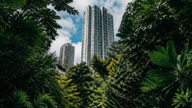 Capturing the Urban Jungle: Street Photography Trends | auto spin 88 rtp, cara daftar w88, win jasaqq
