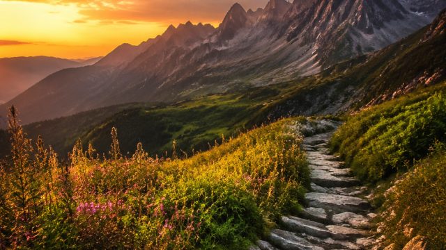Exploring Nature Through the Lens: A Photography Gallery | ck hongkong mlm ini, apidewa 777