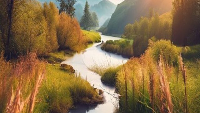 Exploring the Beauty of Nature: Photography as an Art Form | epoool, freecell card game, barstool betting