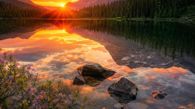 Capture Serenity with Stunning Nature Wallpapers | daftar situs slot bonus new member 100, catur game offline, slot mpo baru, situs joker123 deposit pulsa, fifa international soccer, cute, pet