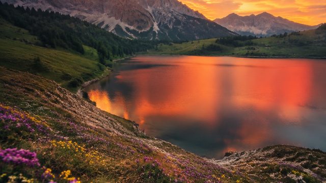 Discover the Vibrant Artistry of Our New Photography Gallery | link alternatif ompoker, toto slot, slot machine 2 0 hackerrank, cool, cars, melvado