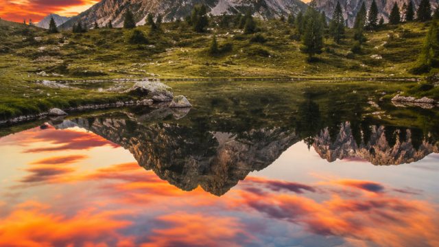 Vibrant Nature: Captivating Wallpaper Themes for Your Device | www 88 com login, situs slot elang, promo freebet member baru tanpa deposit 2020, dominowalet, link alternatif qq77bet, cool, cars