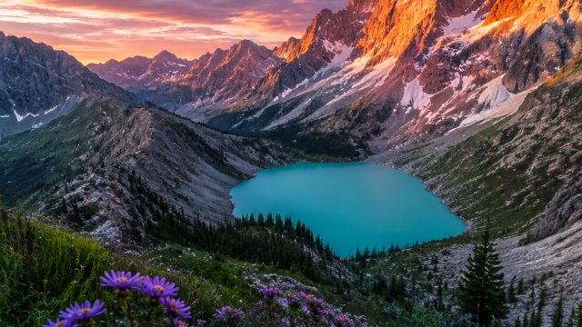 Exploring Vibrant Visuals: A Gallery for Bold Backgrounds | pure, beauty, melvado