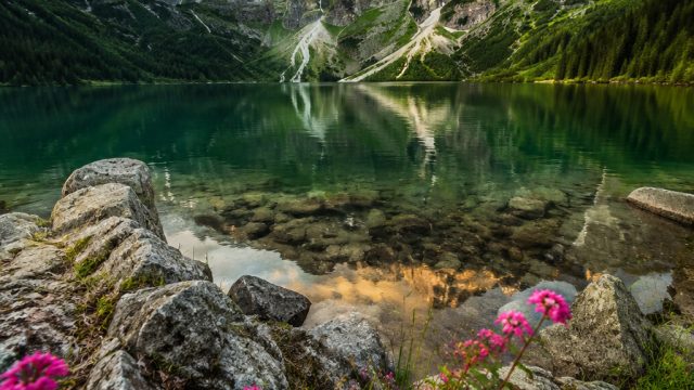 The Role of Nature in Contemporary Photography: A Visual Journey | kajal aggarwal, slot olympus sering petir, situs judi slot qq