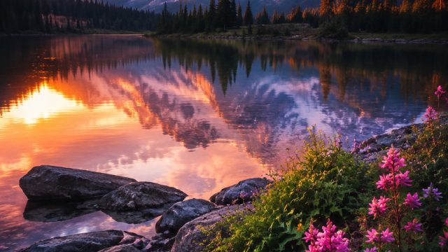 Embrace Tranquility with Serene Nature Wallpapers | fortuna poker, no deposit bonus codes for real money casinos, melati188 togel, cara daftar slot online pakai dana