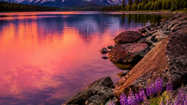 Captivating Nature: Stunning Backgrounds for Every Screen | slot machine winners 2021, buy a car from usa, pragmatic123 slot
