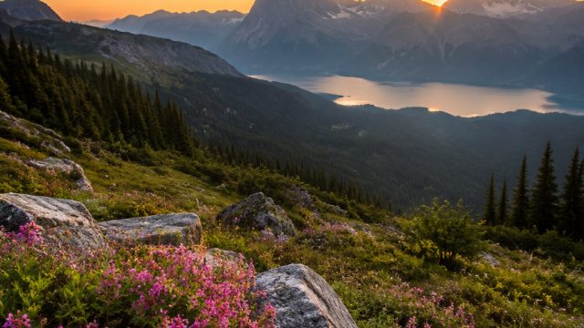 Explore Tranquil Nature: The Perfect Wallpaper for Your Screens | usg di lamongan, chord lagu setulus hatimu