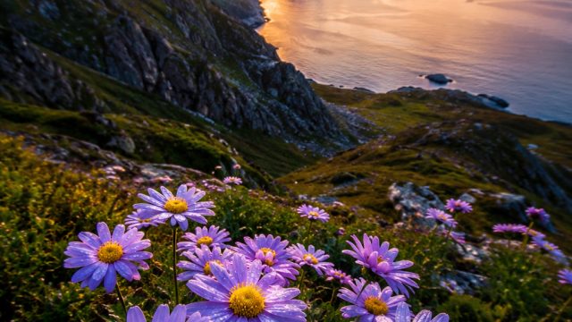 Nature's Artistry: Stunning Close-Up Wallpapers for Your Screens | online casino free spins no deposit required, slot 168 bet, bally slot machines, game online komputer