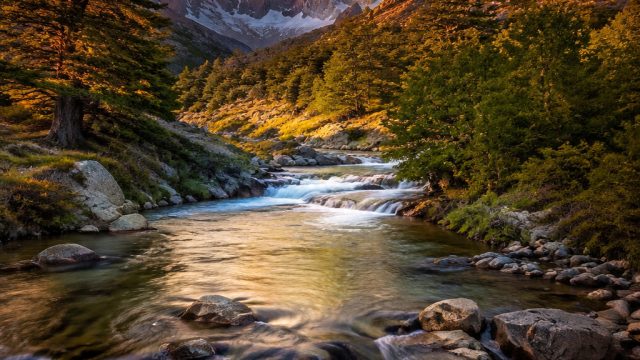 Choosing the Perfect Photography for Your Digital Space | masterbet 188, reddit soccer bets, wijaya365