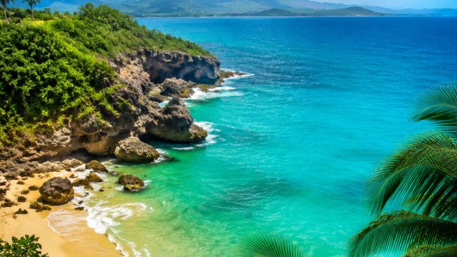 Vibrant Summer Escapes: Nature's Oasis for Your Screen | oasis 88 slot login, pola olympus modal receh, odds of getting blackjack, mplay777, slot giok4d