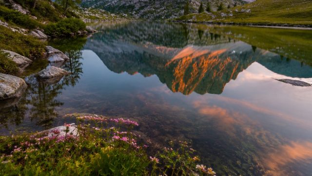 Discover the Timeless Charm of Nature-Inspired Wallpapers | setor dana pkv, the best online poker, agen tangkasnet terbaik