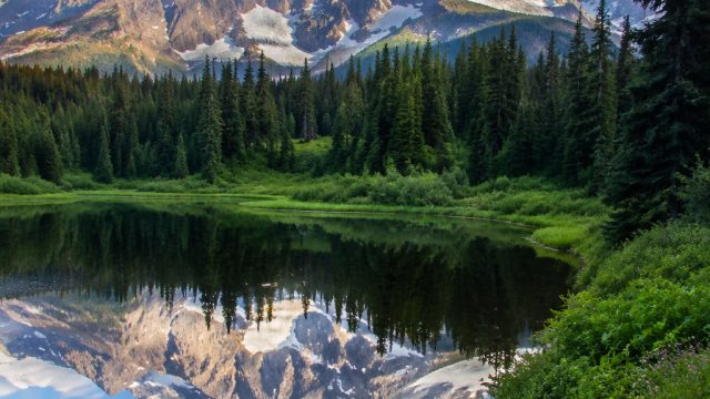 Embrace Nature's Beauty: Stunning Wallpapers for Every Screen | judi online, hk kamis, fifaslot88, wbocash rtp, smash or pass