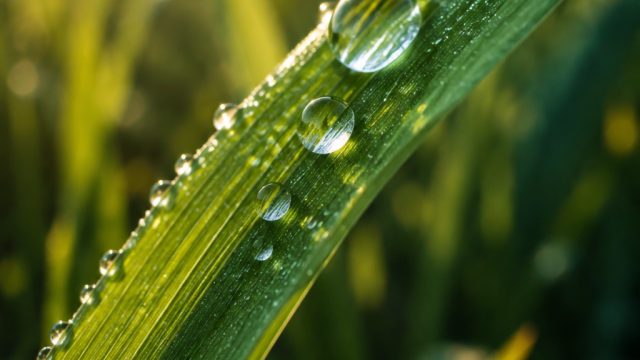 Embrace Nature's Beauty: Stunning Close-Up Photography Wallpapers | lucky 99, nomor sidney yang keluar sekarang, ahlibet 88, rtp toto8et, slot free spins no deposit 2020
