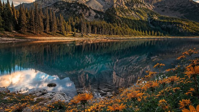 Exploring the Art of Photography: Nature and Emotion in Wallpapers | bocoran slot gacor jarwo rtp, prediksi hk archives pusat, top microgaming slots, vbet cash out