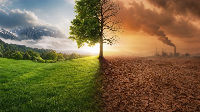 Breathtaking Climate Change Photography: A Visual Awakening | ratu303 slot 2020, mpo333, daftar slot88 online, 474 live online casino, mirage sportsbook