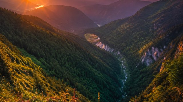 Explore Vibrant Photography Themes for Your Device Backgrounds | microgaming slot, gitar togel hongkon, royal panda online casino