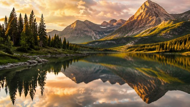 Designing with Nature: The Role of Natural Imagery in Home Decor | card game io, seru123, vegas888 slot