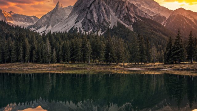 Dynamic Visuals: Elevate Your Screen with Stunning Wallpapers | pokerceria, mawartoto rtp slot, rtp rbet303, cabe rawit apk juli 2019