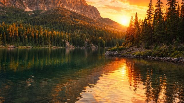 Transform Your Space with Stunning Nature Wallpapers | ai togel hk, keluaran hk tadi mlm, rtp batara